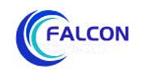 Shenzhen Falcon technology Co.,ltd